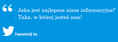 Nisza marketingowa informacyjna