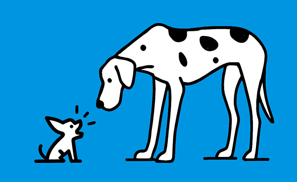 Czy mała marka może wygrać konkurencję z dużą marką?